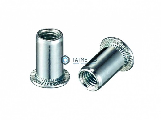 Заклепка резьбовая цилиндрический борт М 5 (1000 шт/уп) КL | «ТАТМЕТИЗ» Заклепка резьбовая цилиндрический борт М 5 (1000 шт/уп) КL - магазин крепежа «ТАТМЕТИЗ»